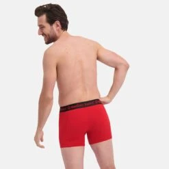 Bamboo Basics Rico 3-pack Grijs / Blauw / Rood -Mode-Lingeriewinkel aHR0cHM6Ly93d3cuYm94ZXJzLm5sL21lZGlhL2NhdGFsb2cvcHJvZHVjdC9iL2EvYmFtYm9vLWJhc2ljc19yaWNvLTAxMi1yb29kLWJhY2suanBnP3N0b3JlPWJveGVyc19ubCZpbWFnZS10eXBlPWltYWdl