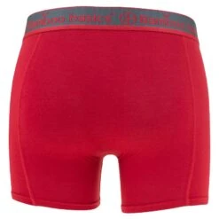 Bamboo Basics 7-pack Boxers Rico Combi Multi II -Mode-Lingeriewinkel aHR0cHM6Ly93d3cuYm94ZXJzLm5sL21lZGlhL2NhdGFsb2cvcHJvZHVjdC9iL2EvYmFtYm9vLWJhc2ljc19yaWNvN3AwMDJfM19hY2h0ZXJrYW50XzEuanBnP3N0b3JlPWJveGVyc19ubCZpbWFnZS10eXBlPWltYWdl