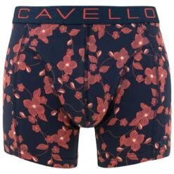 Cavello 2-pack Boxers Flowers & Leafs Multi -Mode-Lingeriewinkel aHR0cHM6Ly93d3cuYm94ZXJzLm5sL21lZGlhL2NhdGFsb2cvcHJvZHVjdC9jL2EvY2F2ZWxsb19jYTIyMDA5XzFfdm9vcmthbnQuanBnP3N0b3JlPWJveGVyc19ubCZpbWFnZS10eXBlPWltYWdl