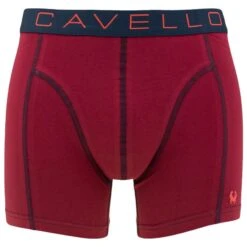 Cavello 2-pack Boxers Flowers & Leafs Multi -Mode-Lingeriewinkel aHR0cHM6Ly93d3cuYm94ZXJzLm5sL21lZGlhL2NhdGFsb2cvcHJvZHVjdC9jL2EvY2F2ZWxsb19jYTIyMDA5XzJfdm9vcmthbnQuanBnP3N0b3JlPWJveGVyc19ubCZpbWFnZS10eXBlPWltYWdl