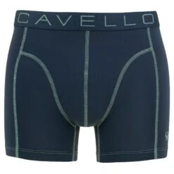 Cavello 2-pack Microfiber Boxers Zebra Blauw -Mode-Lingeriewinkel aHR0cHM6Ly93d3cuYm94ZXJzLm5sL21lZGlhL2NhdGFsb2cvcHJvZHVjdC9jL2EvY2F2ZWxsb19jYjYxMDA2XzJfdm9vcmthbnQuanBnP3N0b3JlPWJveGVyc19ubCZpbWFnZS10eXBlPWltYWdl