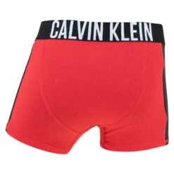 Calvin Klein Jongens Intense Power 2-pack Boxers Block Multi -Mode-Lingeriewinkel aHR0cHM6Ly93d3cuYm94ZXJzLm5sL21lZGlhL2NhdGFsb2cvcHJvZHVjdC9jL2EvY2FsdmluLWtsZWluX2I3MGI3MDA0MDUtMHdkXzJfYWNodGVya2FudC5qcGc c3RvcmU9Ym94ZXJzX25sJmltYWdlLXR5cGU9aW1hZ2U