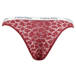 Calvin Klein Dames 3-pack Brazilian Kant Multi II -Mode-Lingeriewinkel aHR0cHM6Ly93d3cuYm94ZXJzLm5sL21lZGlhL2NhdGFsb2cvcHJvZHVjdC9jL2EvY2FsdmluLWtsZWluX3FkMzkyNWUtNnZ5XzJfYWNodGVya2FudC5qcGc c3RvcmU9Ym94ZXJzX25sJmltYWdlLXR5cGU9aW1hZ2U