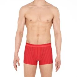 HOM Microfiber Boxer Chic Rood -Mode-Lingeriewinkel aHR0cHM6Ly93d3cuYm94ZXJzLm5sL21lZGlhL2NhdGFsb2cvcHJvZHVjdC9oL28vaG9tX2NoaWNfYm94ZXJicmllZnNfNDAxMzM2XzQwMDBwYV9mYWNlLmpwZz9zdG9yZT1ib3hlcnNfbmwmaW1hZ2UtdHlwZT1pbWFnZQ