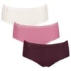 Sloggi Dames Basic 3-pack Midi Slips Multi IV -Mode-Lingeriewinkel aHR0cHM6Ly93d3cuYm94ZXJzLm5sL21lZGlhL2NhdGFsb2cvcHJvZHVjdC9zL2wvc2xvZ2dpXzEwMTA3MTYzLW0wMjBfMy1wYWNrLmpwZz9zdG9yZT1ib3hlcnNfbmwmaW1hZ2UtdHlwZT1pbWFnZQ